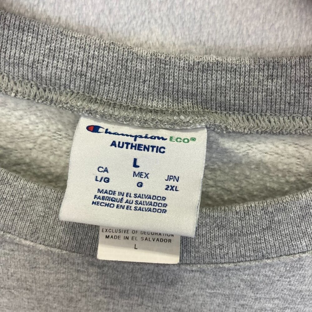 Chris Brown Indigo Children Indigoat 2019 Sweatshirt Gray Mens L Large Champion - Picture 6 of 11